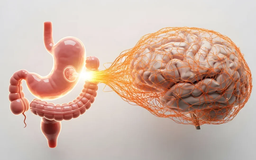Eje intestino-cerebro: La influencia de la microbiota en los trastornos del neurodesarrollo
